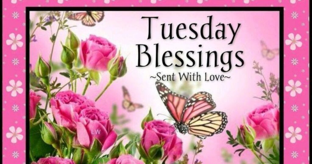 Good Afternoon Tuesday Blessings 