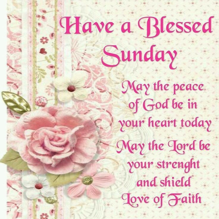 Sunday Blessings of Love and Life