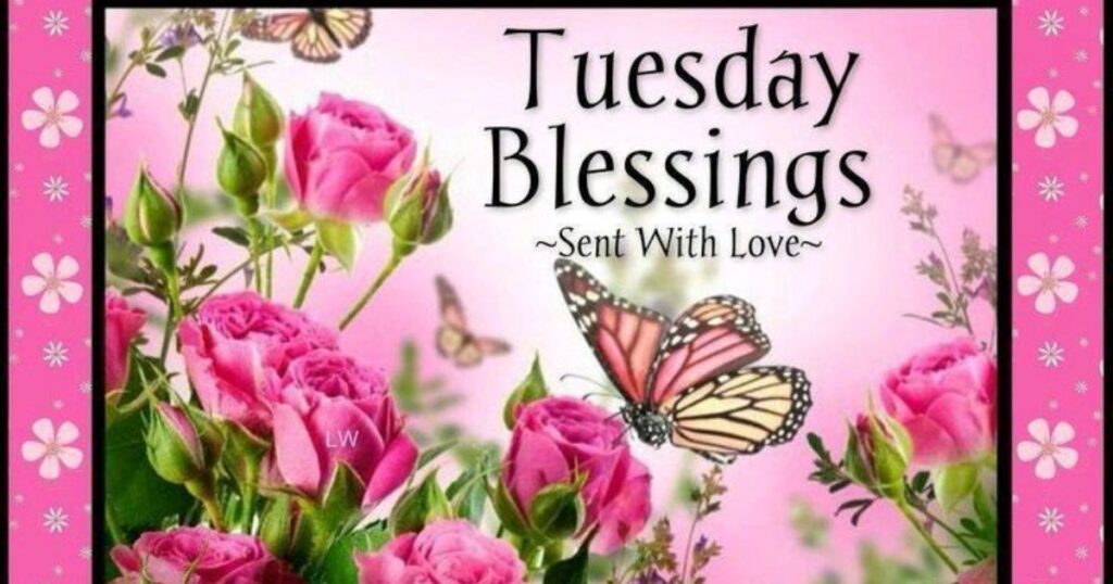 Tuesday Morning Blessings