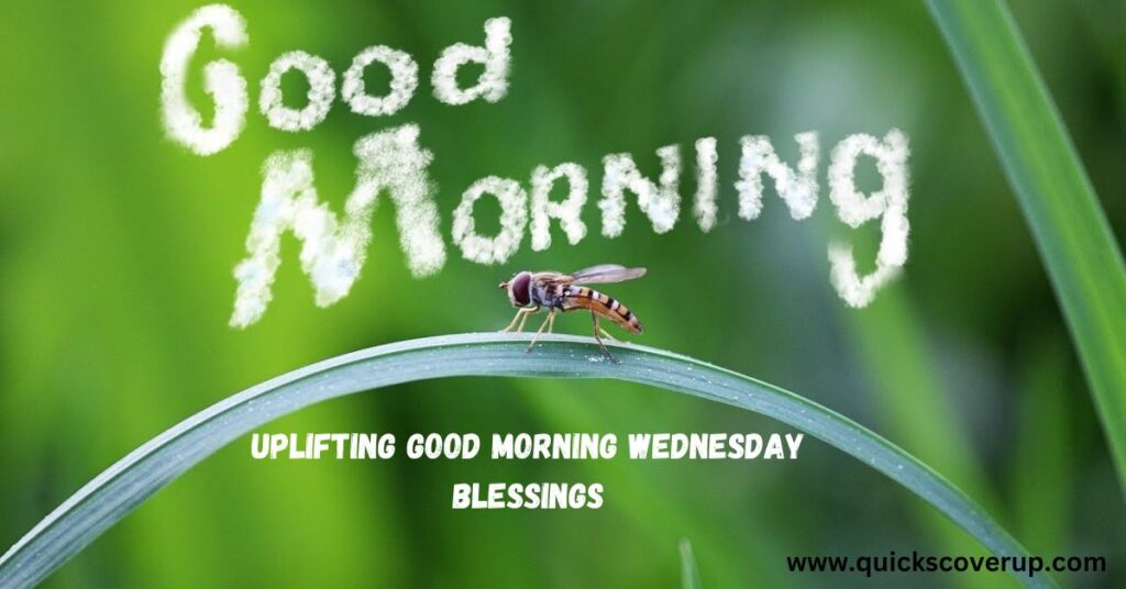 Uplifting Good Morning Wednesday Blessings