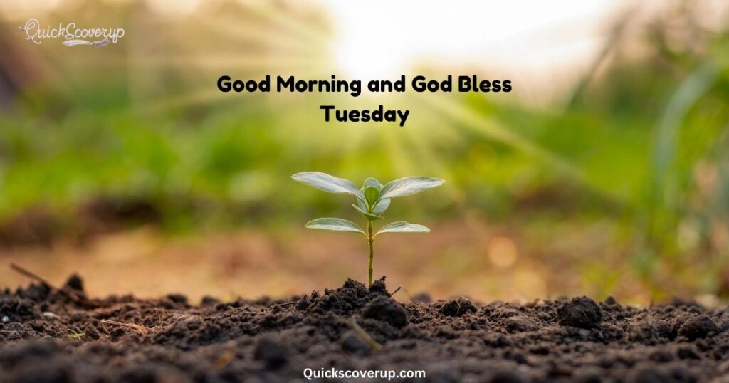 Good Morning and God Bless Tuesday