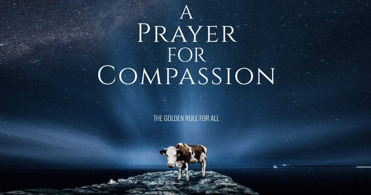 Sunday Prayer for Compassion