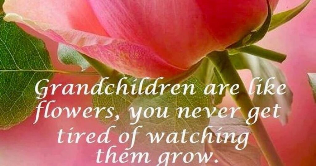 Grandchildren are like flowers.