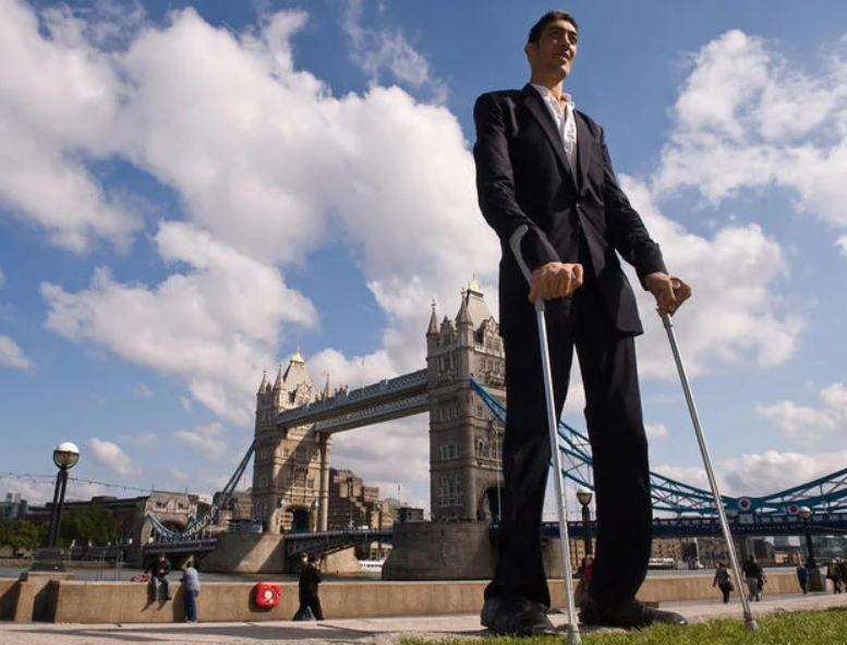 Sultan Kösen Height